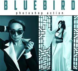 PS动作－蓝色妖姬：Bluebird Photoshop Action